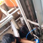 IMG-20241231-WA0046